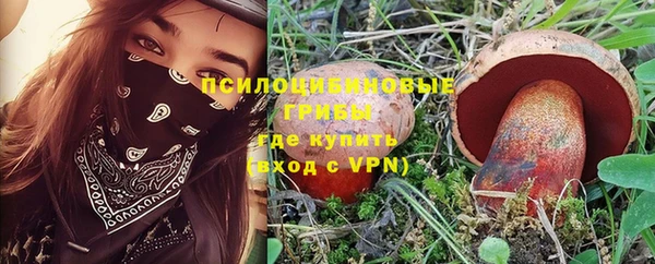 прущая мука Горно-Алтайск