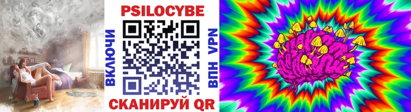 Галлюциногенные грибы прущие грибы  kraken вход  Городище 