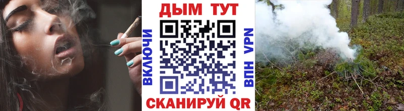 где купить наркоту гидра как зайти Канабис сатива Городище